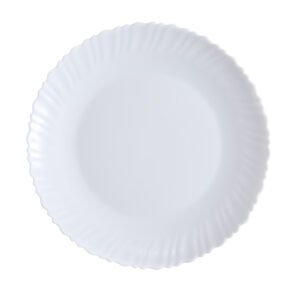 Dinner Plate 10.0'