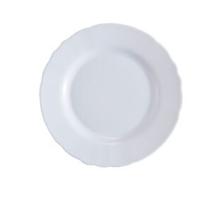 Dinner plate 10.5'
