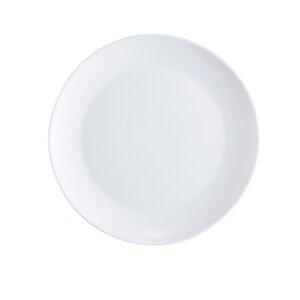 Dinner plate 10.5'